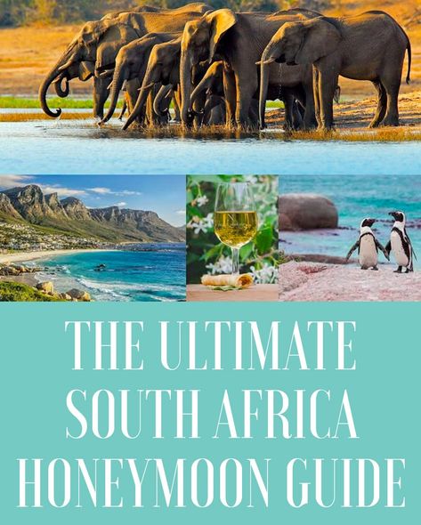 The Ultimate South Africa Honeymoon Guide - JetsetChristina African Honeymoon, Safari Honeymoon, Honeymoon Goals, South Africa Honeymoon, South Africa Itinerary, Destination Honeymoon, Honeymoon Itinerary, Africa Honeymoon, Africa Itinerary