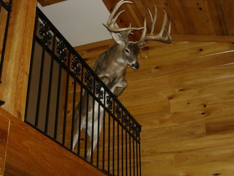 Barn Board Wall, Deer Mount Ideas, Hunting Man Cave, Small Man Cave, Quail Hunting, Deer Mounts, Hunting Room, Taxidermy Mounts, Video Game Rooms