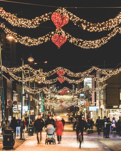 Tromsø, Norway 🌍 on Instagram: “Merry Christmas everyone! Lots of love from the Tromsolove team🎅🏼 Photos by @gabrielhofstra  #tromsolove” Norwegian Christmas Aesthetic, Christmas In Norway, Tromsø Norway, Norway Christmas, Travel Norway, Tromso Norway, Norwegian Christmas, Christmas Time Is Here, Tromso