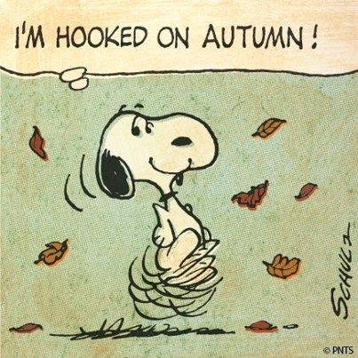 Great Pumpkin Waltz is already playin' Leaves Falling, Snoopy Love, Charlie Brown And Snoopy, Fabulous Fall, Happy Fall Y'all, Harvest Moon, Peanuts Gang, Autumn Beauty, Halloween Cookies