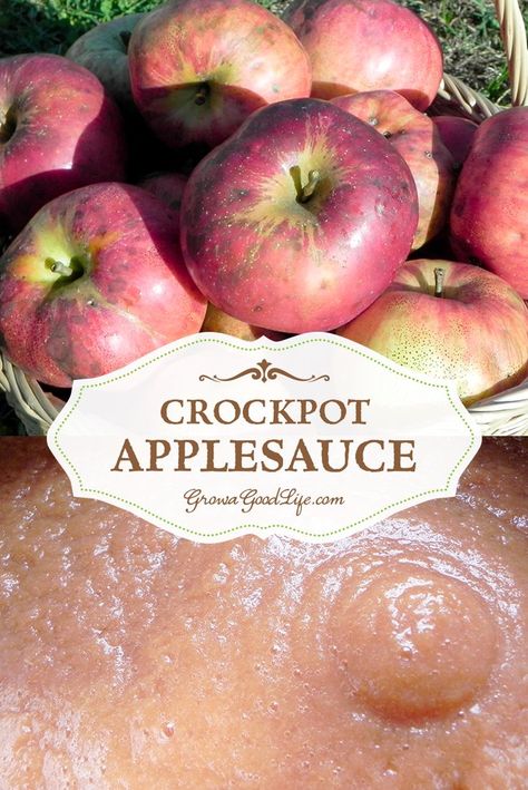 Apple Recipes Crockpot, Crockpot Applesauce Recipe, Crockpot Applesauce, Applesauce Recipe, Macintosh Apple, Apple Sauce Recipes, Homemade Applesauce, Slow Cooked Meals, Healthy Eating For Kids