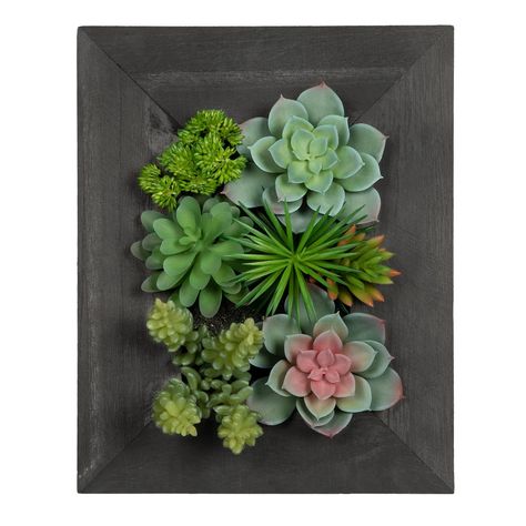 PRICES MAY VARY. PREMIUM LIFELIKE DECOR: Bring stylish natural decor to any wall space with this 3D rustic wood design with wall living artificial succulent. With these vibrant green succulent plants and a simple 11 x 9 inch (H x W) white/black rectangular pot, this fake plant arrangement can transform your indoor space into a lush oasis COMPLEMENTARY DESIGN: The succulent arrangement is nestled inside of a wooden planter. Featuring a mix of sedum, succulent variations and trailing string of pea Wall Succulents, Wall Hanging Plants Indoor, Succulent Wall Hanging, Plants In Baskets, Sedum Plant, Succulent Frame, Plant In Glass, Living Wall Art, Fake Succulents