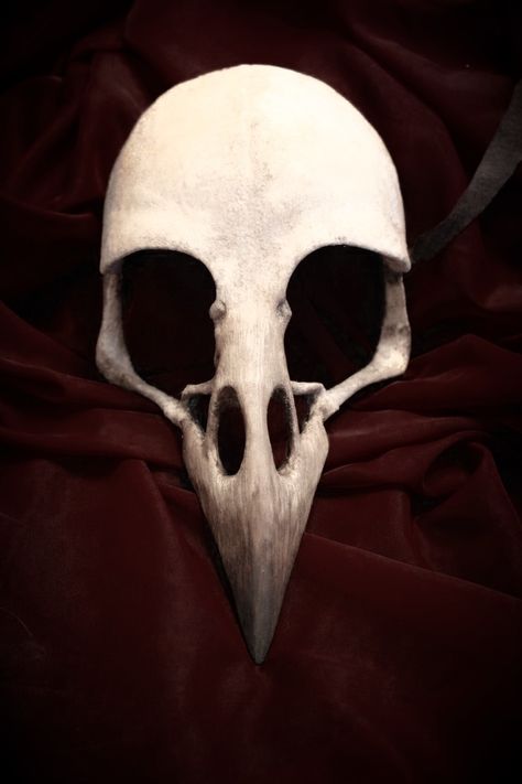 Bone Mask Drawing, Vulture Mask, Vulture Skull, Strange Images, Mask Drawing, Crow Skull, Vulture Culture, Weird Images, Character References