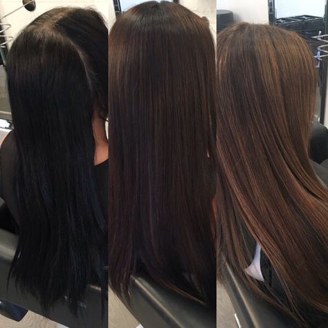 Black Hair To Brown Hair Transformation, Black To Brown Hair Transformation, Black Hair Transformation, Brown Hair Transformation, Black To Brown Hair, Hair Color Chart, Beautiful Hair Color, Brown Highlights, Hair Ponytail Styles