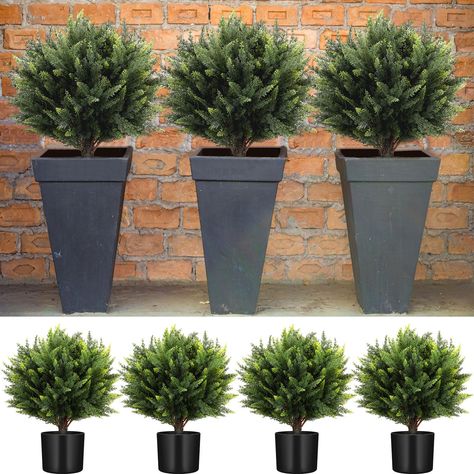 Winter Plants Outdoor Cold Weather, Christmas Flower Pots Outdoor, Winter Pots Outdoor Front Doors, Front Porch Walkway, Cedar Topiary, Garden Front Porch, Curb Appeal On A Budget, Faux Outdoor Plants, Plants For Home Garden