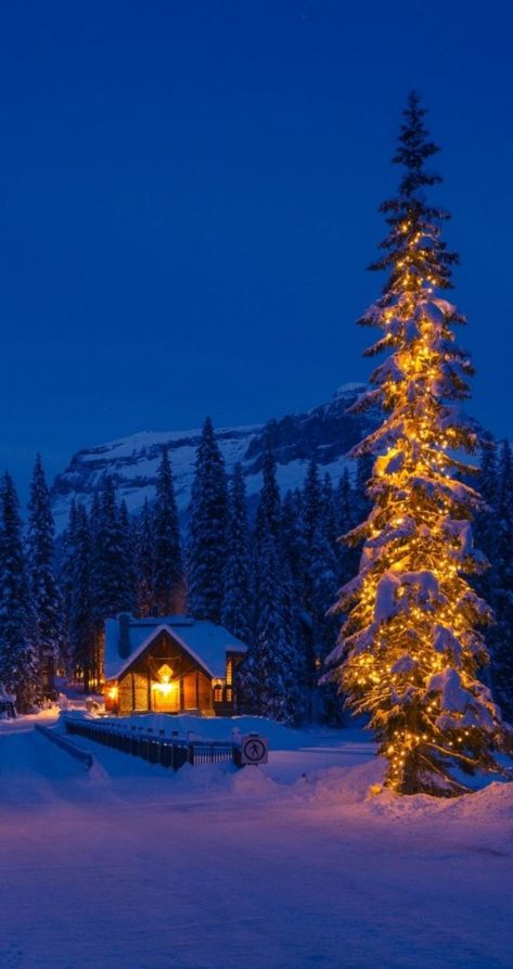 Beautiful Winter Pictures, Art Deco Design Graphics, Winter Board, Christmas Dreaming, Desktop Background Pictures, Christmas Scenery, Cute Christmas Wallpaper, Scenery Pictures, Winter Cabin