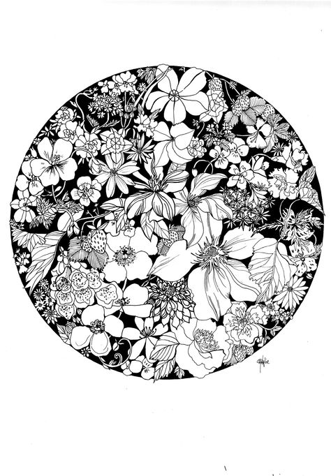 Strawberry Art, Black And White Art Drawing, White Drawing, Floral Drawing, Botanical Drawings, Black And White Drawing, Ink Illustrations, Zentangle Art, Kirigami