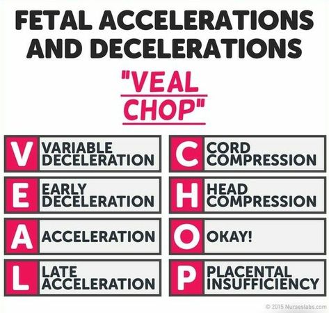 Fetal Accelerations and Decelerations VEAL CHOP Veal Chop Mine Nursing, Veal Chop Nursing, Veal Chop, Human Embryo, Fetal Position, Nursing Student Tips, Nursing School Tips, Entertainment Design, Nursing Notes