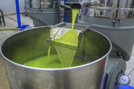 Olive Press, Homemade Oil, Virgin Olive Oil, Preserving Food, Extra Virgin, Extra Virgin Olive Oil, Cotton Candy Machine, Ecology, Food Storage