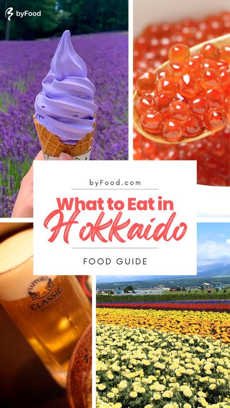 Hokkaido Beach Japan, Hokkaido Japan Summer, Hokkaido Japan Aesthetic, Traveling Japan, Essential List, Japan Hokkaido, Lavender Ice Cream, Japan Summer, Salmon Roe