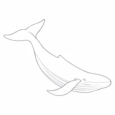 Humpback Whale Drawing Simple, Whale Outline Drawing, Fine Line Whale Tattoo, Simple Whale Drawing, Easy Whale Drawing, Whale Drawing Simple, Whale Line Drawing, Whale Template, Whale Line Art