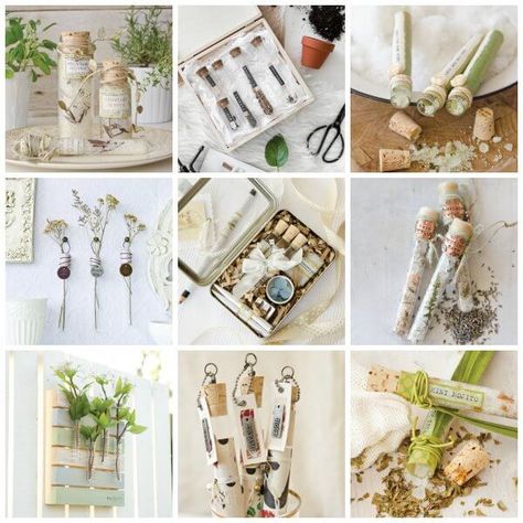 Somerset Place: The Official Blog of Stampington & Company » Blog Archive Romancing the Vial: 13 Artful Test Tube Projects - Somerset Place: The Official Blog of Stampington & Company Test Tube Crafts, Jasmine Flower Tea, Trending Crafts, Crafting Techniques, Handmade Gifts For Boyfriend, Handmade Gifts For Friends, Tea Diy, Test Tubes, Pallet Painting