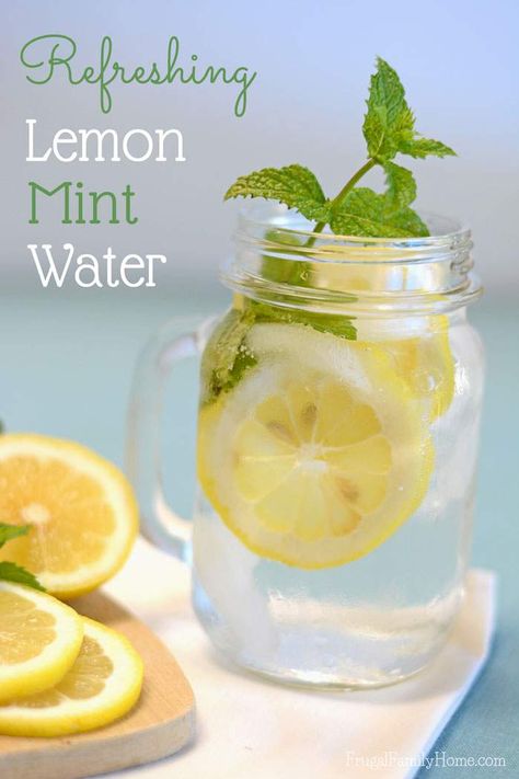 A Super Easy Summer Drink, Lemon Mint Water Overnight Oats Chocolate, Lemon Mint Water, Lemon Water Health Benefits, Lemon Juice Benefits, Hot Lemon Water, Lemon Health Benefits, Lemon Uses, Mint Water, Warm Lemon Water