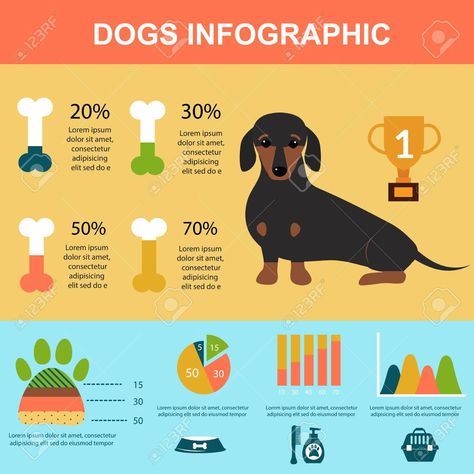 Dog Infographic, Dog Playing, Data Visualization Design, Banana Breakfast, Vector Elements, Dog Branding, Dog Info, Dachshund Puppy, Pet Sitting