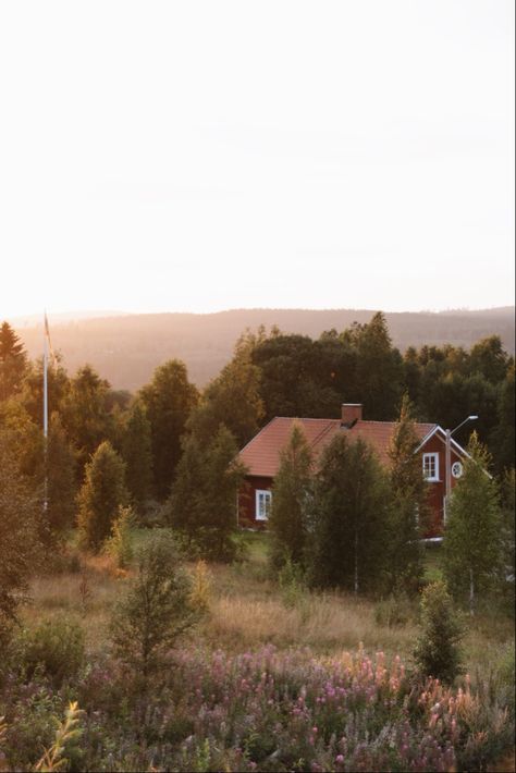 Swedish Forest Aesthetic, Swedish Cottage Aesthetic, Swedish Summer Cottage, Forest Living Aesthetic, Rural Life Aesthetic, Sweden Summer Aesthetic, Sweden Aesthetic Summer, Swedish Photography, Swedish Mountains