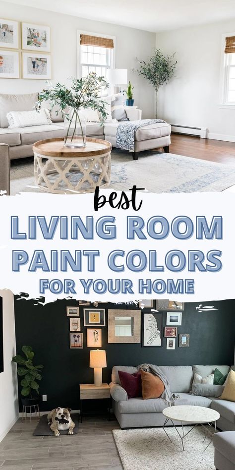 Paint Colour For Living Room, Paint Colors 2024, Living Room Paint Colors, Benjamin Moore Paint Colors, Repose Gray Sherwin Williams, Colors For 2024, Warm Paint Colors, Greige Paint Colors, Shoji White