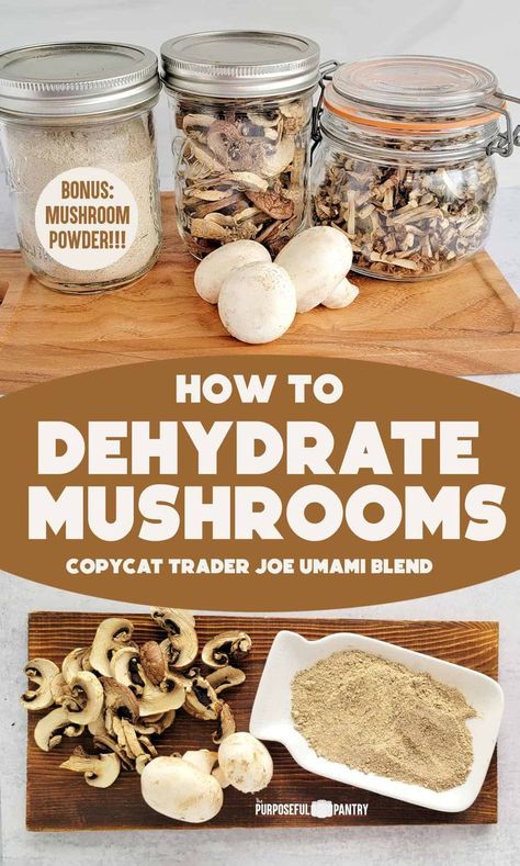 Dehydrate mushrooms and make a mushroom powder seasoning that elevates the fungus into so much more! Learn how to adapt a copycat Trader Joe's Umami Seasoning to your tastes! Dehydrate Mushrooms, Dehydrating Mushrooms, Dehydrating Food Storage, Food Dehydration, Dehydrating Food, Dehydrated Vegetables, Canning Food Preservation, Summer Foods, Dehydrated Fruit