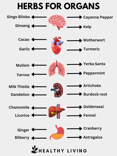 A colorful and eye-catching design that draws the viewer's attention and makes the pin stand out in the Pinterest feed Herbs For Colds Immune System, Herbs For Immune System, Herbs For Inflammation, Herbal Living, Herbs Medicine, Dandelion And Burdock, Yerba Santa, Reducing Inflammation, Healthy Immune System