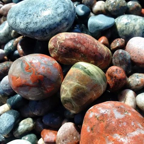 Rockhounding Along Lake Superior | Upper Peninsula Lake Superior Rocks, Pudding Stone, Rock Identification, Rock Tumbling, Upper Peninsula Michigan, Lake Superior Agates, Rocks And Fossils, Rock Hunting, Petoskey Stone