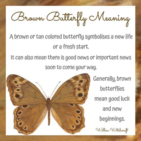 Willow Witchcraft Butterfly Omen Meaning, Brown Moth Spiritual Meaning, Brown Butterfly Meaning Spiritual, Brown Butterfly Meaning, What Do Butterflies Symbolize, Moth Symbolism Meaning, Butterfly Symbolism Meaning, Moth Spiritual Meaning, Butterfly Spirit Animal