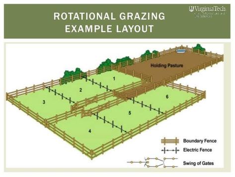 Farm Structure Ideas, Horse Paddock Ideas Layout, Rotational Grazing Layout, Mini Farm Layout Ideas, Farm Plans Layout Design, Rotational Grazing, Poultry Farm Design, Livestock Shelter, مركز ثقافي