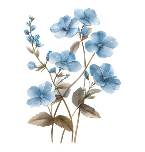 💙🎨 Capture the charm of Forget Me Nots in your crafts with this beautiful clipart collection. Ideal for adding a subtle, yet stunning touch to your projects. Check out the full collection now! #ForgetMeNotFlowers #ClipartCollection #CraftingIdeas #TimelessBeauty https://hellobrazen.com/forget-me-not-floral-clipart/ Design Hijab, Spring Magic, Flower Frame Png, Png Flowers, Digital Invitations Wedding, Flowers Background, Png Flower, Watercolor Fruit, Background Clipart