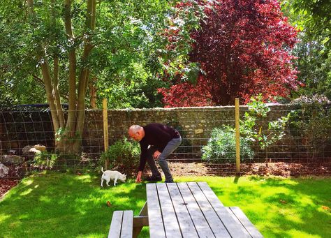 Petscaping Is the Dog-Friendly Backyard Trend - PureWow Dog Yard Landscaping, Pet Friendly Backyard, Dog Safe Plants, Outside Dog Houses, Dog House Plan, Dog Friendly Backyard, Backyard Upgrades, Modern Dog Houses, River Retreat