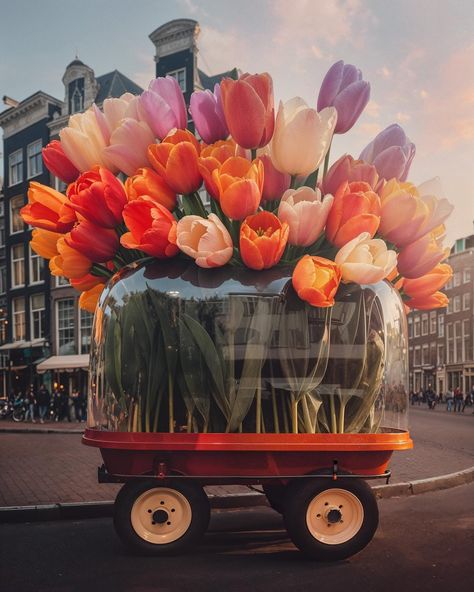 Did you know that we have a Tulip Distribution System in Amsterdam? In spring, when tulips are in season, various vehicles drive around the city delivering tulips to their final destinations. Whether you need flowers for your store to sell, want to have flowers delivered to a loved one, or simply wish to have a bouquet on your table, the Tulip Distribution System takes care of it. In this way, it’s ensured that the flowers are delivered fast, allowing you to enjoy your bouquet of tulips for e... Amsterdam In Spring, Bouquet Of Tulips, Flowers Delivered, Van Dijk, Art Director, Artist Art, The Flowers, Tulips, Knowing You