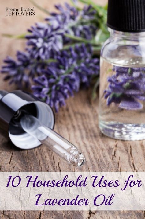 10 Household Uses for Lavender Oil Uses For Lavender Oil, Lavender Oil Uses, Uses For Lavender, Insect Repellent Homemade, Insect Spray, Essential Oils For Headaches, Natural Headache Remedies, Essential Oils Cleaning, Homemade Cleaning Products