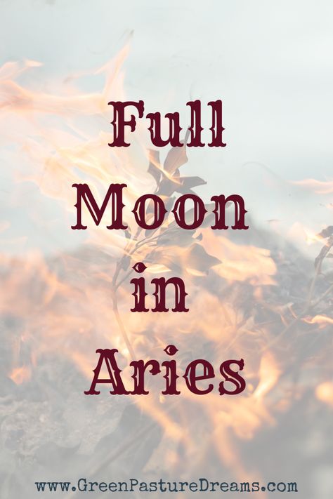 October 13th, 2019 Full Moon in Aries. This article discusses the aspects of the Aries Zodiac Sign and how it will effect you this full moon. Astrology signs, full moon, astrology explanations, witch diy, witchy info, witch aesthetic, aries zodiac , aries , astrology for beginners, moon magick, moon quotes, lunar eclipse, moon phases, full moon rituals, moon cycle, moon magic, zodiac for beginners, zodiac signs, aries woman, full moon 2019, witchcraft diy, tarot spread Full Moon In Aries 2023, Witch Info, Full Moon Quotes, Full Moon Astrology, Astrology For Beginners, Moon Aries, Mystical Experience, Full Moon Tarot, Full Moon Rituals