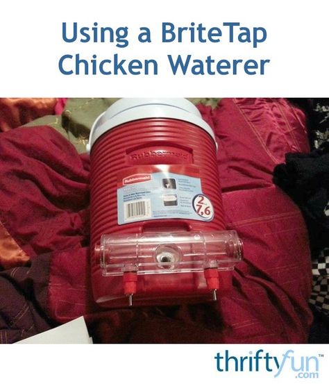 You can purchase a BriteTap chicken waterer attachment online. It is made for attaching to an insulated drink cooler (i.e. Igloo) with spigot. You remove the spigot and attach the BriteTap in its place. It is a super easy solution for keeping their water clean. Chicken Waterer For Winter, How To Keep Chicken Water Clean, Happy New Year Emoji, Diy Heated Chicken Waterer Winter, Igloo Cooler Chicken Waterer, Heated Chicken Waterer, Chicken Waterer, Igloo Cooler, Free Pallets