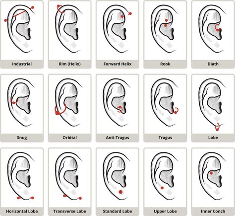 Ear Piercing Diagram, Auricle Piercing, Snug Piercing, Ear Piercings Chart, Piercing Chart, Double Ear Piercings, Types Of Ear Piercings, Ear Lobe Piercings, Helix Piercings