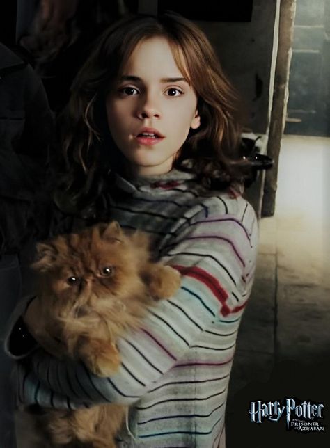 Emma Watson. Prisoner of Azkaban. Hermione Granger Harry Potter, Harry Potter Groups, Emma Watson Harry Potter, Harry Potter Harry, Harry Potter Girl, Harry Potter Hermione Granger, Harry Potter Icons, Harry Potter Scene, Draco Harry Potter