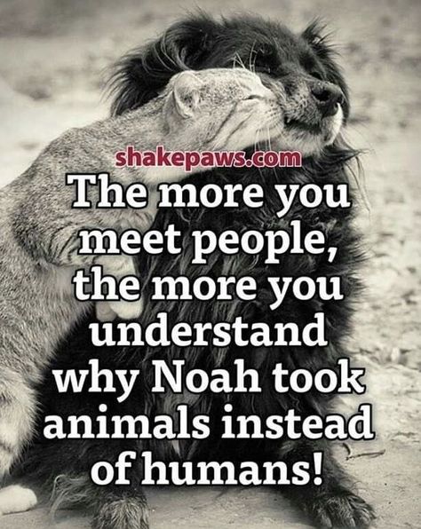 Pin by Barbara Wilkins on Animals in 2022 | Funny true quotes, True quotes, Animal quotes Dog Quotes Love, Cat Quotes, Animal Quotes, Dog Quotes, Quotable Quotes, A Quote, Wise Quotes, Meeting People, Meaningful Quotes