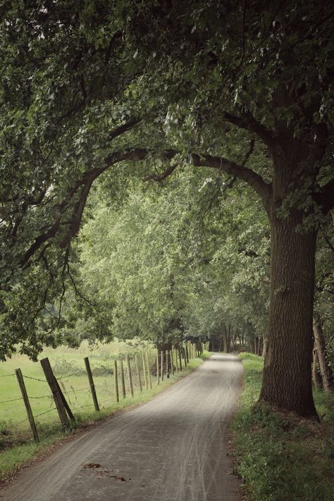 Dirt Road, Earth Angel, English Countryside, Take Me Home, Country Road, Nature Aesthetic, Pretty Places, Country Life, Farm Life