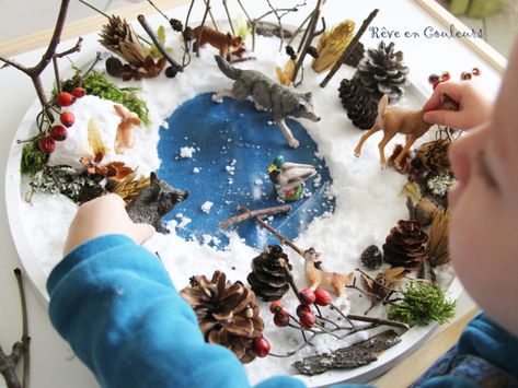 Bac sensoriel hiver Sensory Activities For Preschoolers, Invitation To Play, Small World Play, Forest School, Sensory Activities, Sensory Play, Small World, Play Time, Preschool Activities