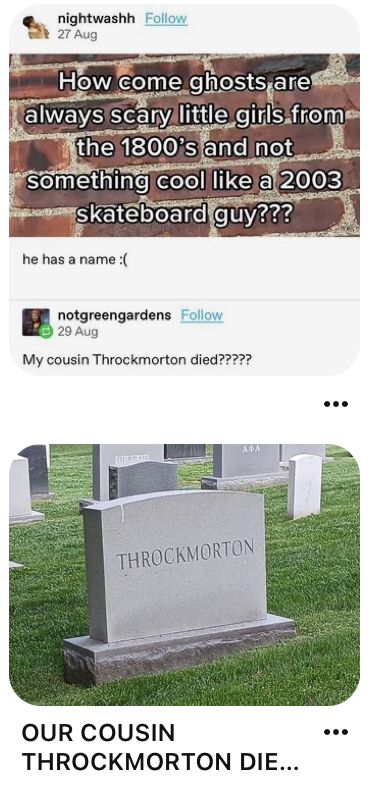 Throckmorton The Skateboarder, Throckmorton Memes, My Cousin Throckmorton, Cousin Throckmorton, Funny Tumblr Posts, Really Funny Pictures, The Thing, Tumblr Funny, Funny Laugh