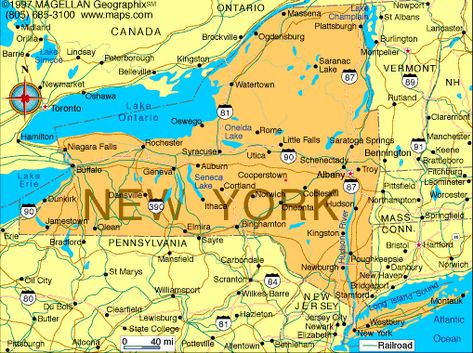 Map of New York-Capital: Albany; became a state: July 26,1788; motto: Excelsior (Ever upward); flower: Rose; tree: Sugar maple; bird: bluebird; nickname: Empire State; origin of meaning: In honor of the Duke of York; points of interest: Adirondack Mountains, Niagara Falls, Manhattan; Rockefeller Center; Radio City Music Hall; Broadway Ny Map, Us Geography, Nyc Map, New York Map, New York City Map, New Paltz, Andrew Cuomo, County Map, Radio City Music Hall