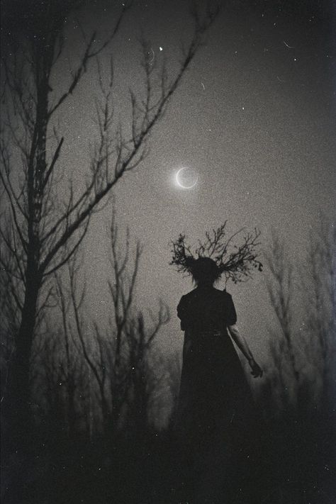 #WOMENSART on Twitter: "Contemporary Russian photographer Natalia Drepina #womensart… " In The Woods, Full Moon, In The Dark, At Night, The Moon, A Woman, Witch, Trees, Moon