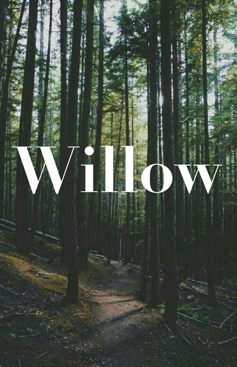 Origin: English Meaning: "Willow tree" Baby Names. Willow. Girl names. Boy names. Willow Name Aesthetic, Willow Name Meaning, Willow Name, Winshape Camps, Willow Aesthetic, Cow Names, English Girl, English Meaning, Names Boy