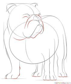 How to draw English Bulldog | Step by step Drawing tutorials Draw A Pug, Bulldog Painting, Dog Drawing Tutorial, Bulldog Images, Bulldog Drawing, Pencil Drawing Tutorials, Draw Animals, Drawing Tutorials For Kids, Bulldog Art