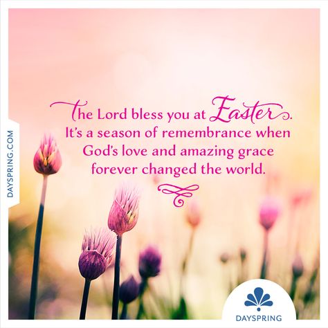 Easter Quotes Religious, Happy Easter Religious, Easter Wishes Messages, Easter Inspirational Quotes, Happy Easter Messages, Happy Easter Quotes, Easter Prayers, Easter Greetings Messages, Happy Easter Greetings