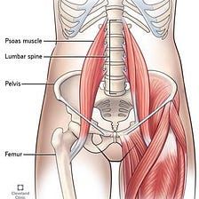 10 Simple Moves You Should Do If You Sit Too Much | by Flex Care | Medium Psoas Muscle Pain, Psoas Iliaque, Nervus Vagus, Psoas Release, Spinal Decompression, Tight Hip Flexors, Psoas Muscle, Muscle Anatomy, Myofascial Release