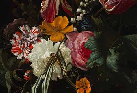 Cincinnati Art Museum - Cincinnati Art Museum Dutch Still Life, Label Art, Dutch Golden Age, Still Life Flowers, Amazing Paintings, A4 Poster, Caravaggio, Painting Reproductions, Vintage Rose