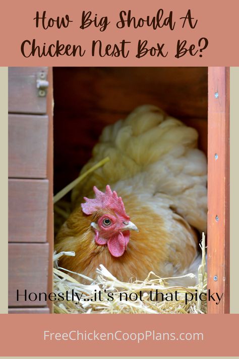 Nesting Box Dimensions, Chicken Nest Boxes, Chicken Nesting Box Ideas, Chicken Coop Nesting Boxes, Nesting Boxes For Chickens, Chicken Laying Boxes, Chicken Nest, Chicken Boxes, Laying Chickens