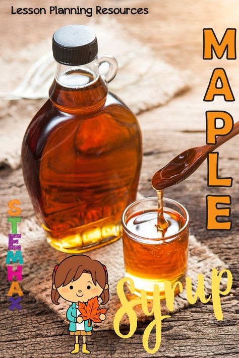 Maple Syrup Activities For Kids, Maple Syrup Drawing, Making Maple Syrup, Maple Sugaring Activities, Maple Simple Syrup, Jelly Bean Science Experiment, Teaching Verbs, Kindergarten Homeschool Curriculum, Mathematics Activities