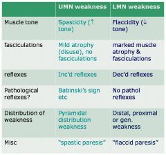 upper motor neuron vs lower motor neuron - Google Search Upper Motor Neuron, Nbcot Exam, Medical Internship, Physical Therapy Student, Neurological System, Medicine Notes, Motor Neuron, Pa School, Teach Arabic