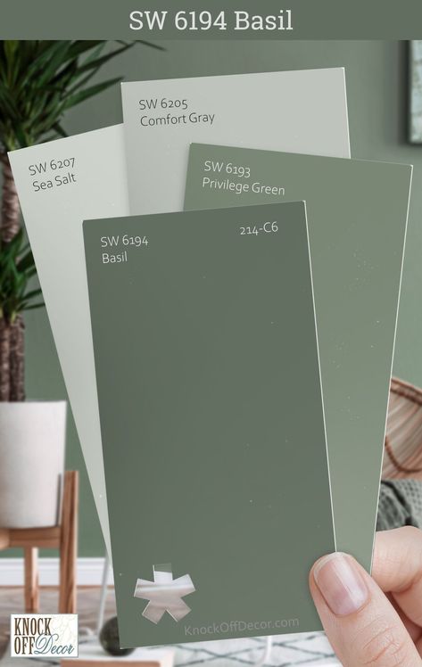 Sage Green Waynes Coating, Privilege Green Color Palette, Basil Sw Paint, Sherwin Williams Green Bedroom Colors, Sherwin Williams Basil Bedroom, Wild Basil Paint Color, Sw Willow Leaf, Basil Green Sherwin Williams, Greenfield Sherwin Williams