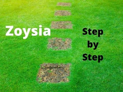 Zoysia Grass Care, Zoysia Lawn, Lawn Renovation, Lawn Care Schedule, Backyard Plans, Zoysia Grass, Growing Grass, Backyard Plan, Sloped Backyard