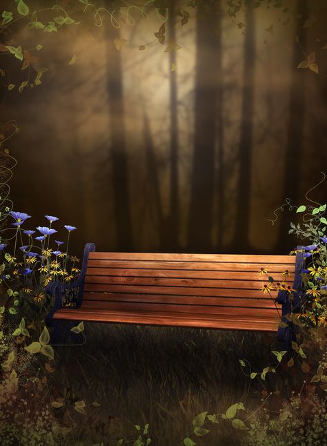 studio,magic,photography,romantic,dream,Furnishing,Tree,Wood,Autumn,Garden,Season,Outdoor,Outdoors,Trees,Wooden,Park Bench,Bench,Seat,Furniture?share=3 Fond Studio Photo, Magic Background, December Wallpaper, Wattpad Background, Church Backgrounds, Photo Png, Desktop Background Pictures, Best Photo Background, Studio Background Images